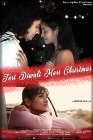 Teri Diwali Meri Christmas – 2020 – Online In Netflix