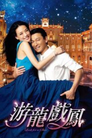 游龍戲鳳 – 2009 – Online In Netflix