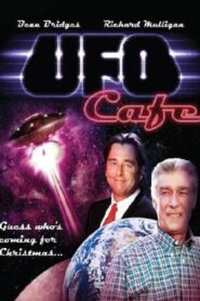 Guess Who’s Coming for Christmas? – 1990 – Online In Netflix