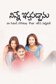 నిన్నే ఇష్టపడ్డాను – 2003 – Online In Netflix