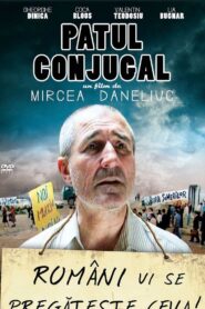Patul conjugal – 1993 – Online In Netflix