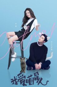 我爱喵星人 – 2021 – Online In Netflix