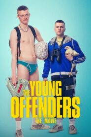 The Young Offenders – 2016 – Online In Netflix