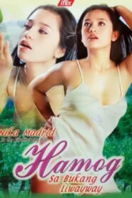 Hamog sa Bukang Liwayway – 2004 – Online In Netflix
