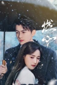 燃心 – 2024 Online gratis free Netflix