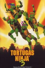 Las Tortugas Ninja III: Viaje al pasado – 1993 – Online In Netflix