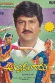 అల్లుడుగారు – 1990 – Online In Netflix