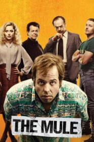 The Mule – 2014 – Online In Netflix
