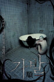가발 – 2005 – Online In Netflix