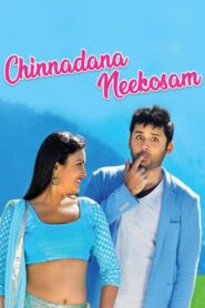 చిన్నదానా నీ కోసం – 2014 – Online In Netflix