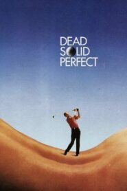 Dead Solid Perfect – 1988 – Online In Netflix