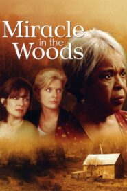 Miracle in the Woods – 1997 – Online In Netflix