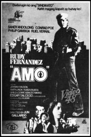 Amo – 1982 – Online In Netflix