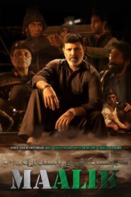 مالک – 2016 – Online In Netflix