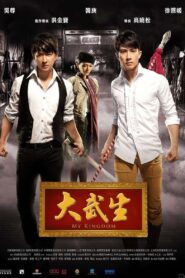 大武生 – 2011 – Online In Netflix