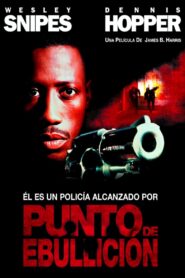 Punto de ebullición – 1993 – Online In Netflix