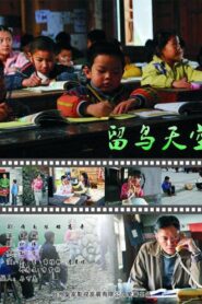 留鸟天空 – 2010 – Online In Netflix