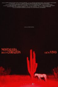 Nostalgia de un Corazón (Aún) Vivo – 2024 – Online In Netflix