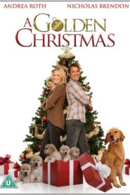 A Golden Christmas – 2009 – Online In Netflix