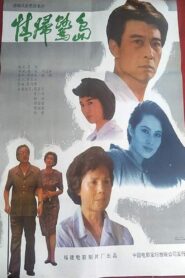 情归鹭岛 – 1991 – Online In Netflix