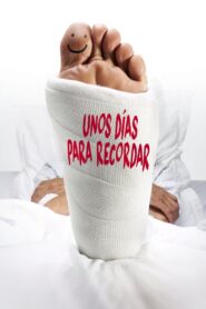 Bon Rétablissement ! – 2014 – Online In Netflix