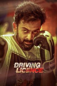 ഡ്രൈവിംഗ് ലൈസൻസ് – 2019 – Online In Netflix
