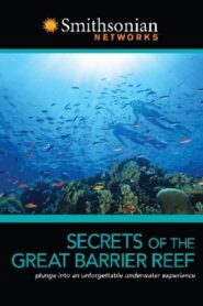 Secrets of the Great Barrier Reef – 2010 – Online In Netflix