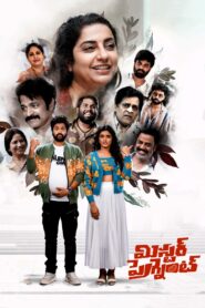 మిస్టర్ ప్రెగ్నెంట్ – 2023 – Online In Netflix