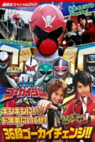 海賊戦隊ゴーカイジャー キンキンに！ド派手に行くぜ！36段ゴーカイチェンジ!! – 2011 – Online In Netflix