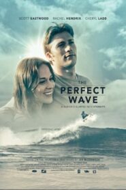 The Perfect Wave – 2014 – Online In Netflix
