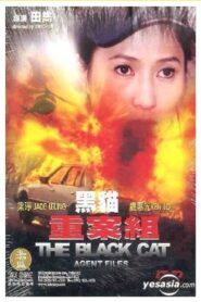 黑貓重案組 – 2003 – Online In Netflix