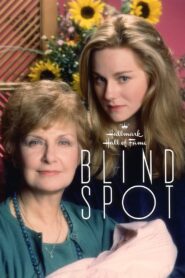 Blind Spot – 1993 – Online In Netflix