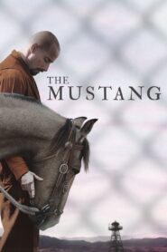 Mustang: La rehabilitación – 2019 – Online In Netflix