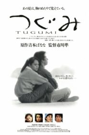 つぐみ – 1990 – Online In Netflix