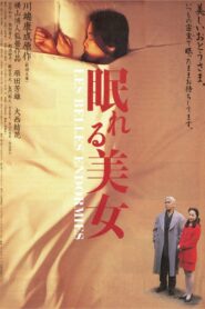 眠れる美女 – 1995 – Online In Netflix