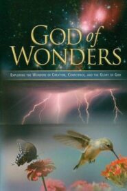 God of Wonders – 2008 – Online In Netflix