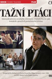 Tažní ptáci – 1984 – Online In Netflix