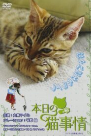 本日の猫事情 – 2007 – Online In Netflix