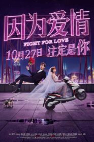 因为爱情 – 2017 – Online In Netflix