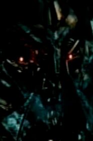 TransTrans (TransformersTransformed) – 2009 – Online In Netflix
