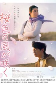 桜色の風が咲く – 2022 – Online In Netflix