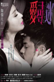 愛‧尋‧迷 – 2014 – Online In Netflix