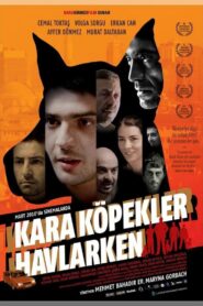 Kara Köpekler Havlarken – 2010 – Online In Netflix