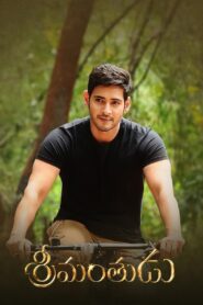 శ్రీమంతుడు – 2015 – Online In Netflix