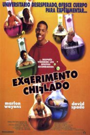 Sin sentido – 1998 – Online In Netflix