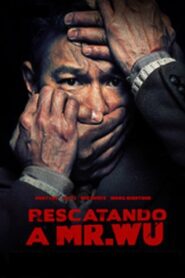 解救吾先生 – 2015 – Online In Netflix