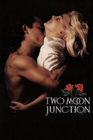 Encrucijada De Pasiones – 1988 – Online In Netflix