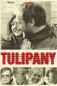 Tulipany – 2005 – Online In Netflix