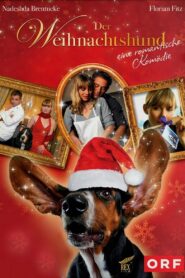 Der Weihnachtshund – 2004 – Online In Netflix
