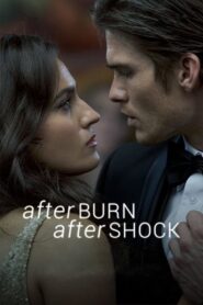 Afterburn/Aftershock – 2017 – Online In Netflix